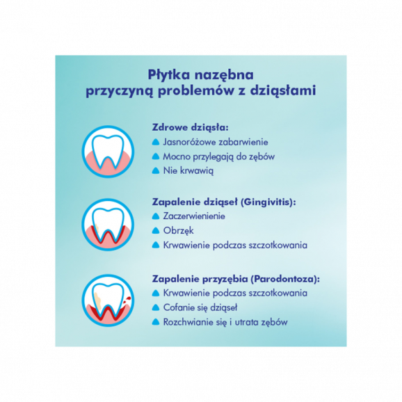 Meridol Ochrona Dziąseł Pasta do zębów 75 ml - zdjęcie produktu