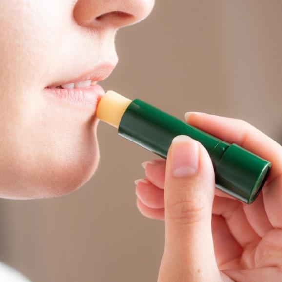 Sylveco Brzozowa pomadka ochronna z betuliną – pomadka ochronna (4,6 g) - zdjęcie produktu