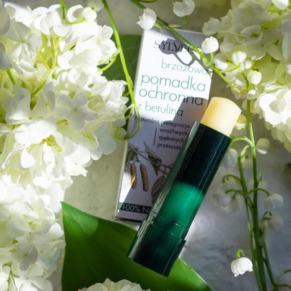 Sylveco Brzozowa pomadka ochronna z betuliną – pomadka ochronna (4,6 g) - zdjęcie produktu