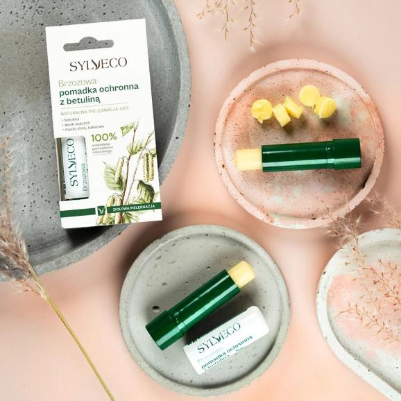 Sylveco Brzozowa pomadka ochronna z betuliną – pomadka ochronna (4,6 g) - zdjęcie produktu