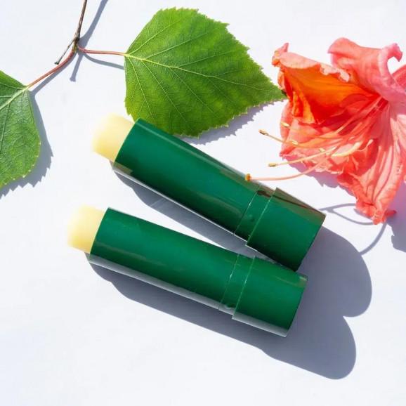 Sylveco Brzozowa pomadka ochronna z betuliną – pomadka ochronna (4,6 g) - zdjęcie produktu