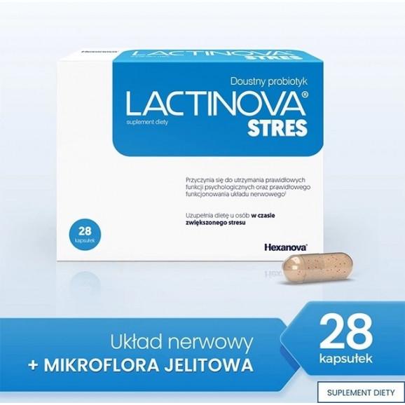 Lactinova STRES, Doustny Probiotyk – suplement diety (28 kapsułek) Lactinova STRES, Doustny Probiotyk – suplement diety (28 kapsułek) - zdjęcie produktu