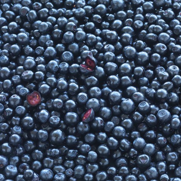 New Nordic Blue Berry Plus – suplement diety (60 tabletek) - zdjęcie produktu