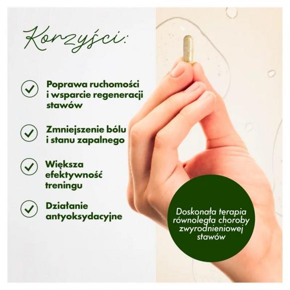 Athero Flex – suplement diety (30 kapsułek) - zdjęcie produktu