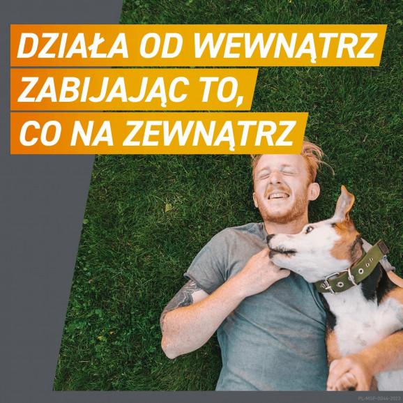 Frontpro 28,3 mg tabletki do rozgryzania i żucia dla psów 4–10 kg (3 szt.) - zdjęcie produktu