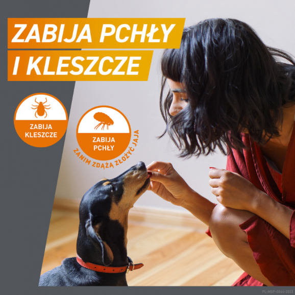 FrontPro tabletki na pchły i kleszcze dla psa 25–50 kg (XL) – 3 tabletki do żucia 136 mg (OTC) - zdjęcie produktu