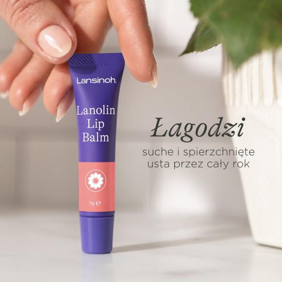 Lansinoh Lip Balm – balsam do ust z 100% lanoliną HPA (7 g) - zdjęcie produktu